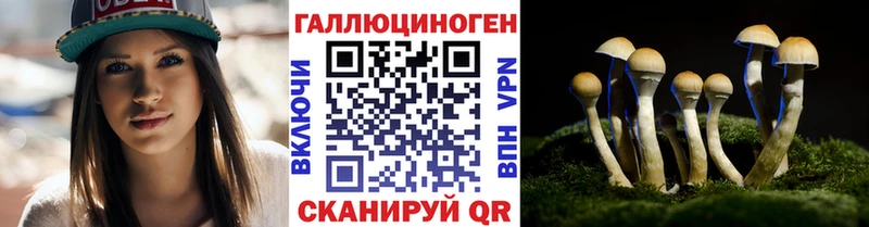 OMG рабочий сайт Кологрив Псилоцибиновые грибы мицелий