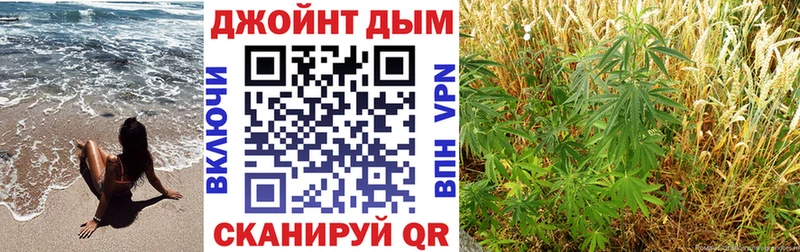 Бошки марихуана THC 21%  наркошоп  Кологрив 